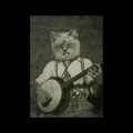JBird Cremeans