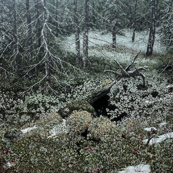 Philip Huber, November Frost, Lapland, Sweden 1