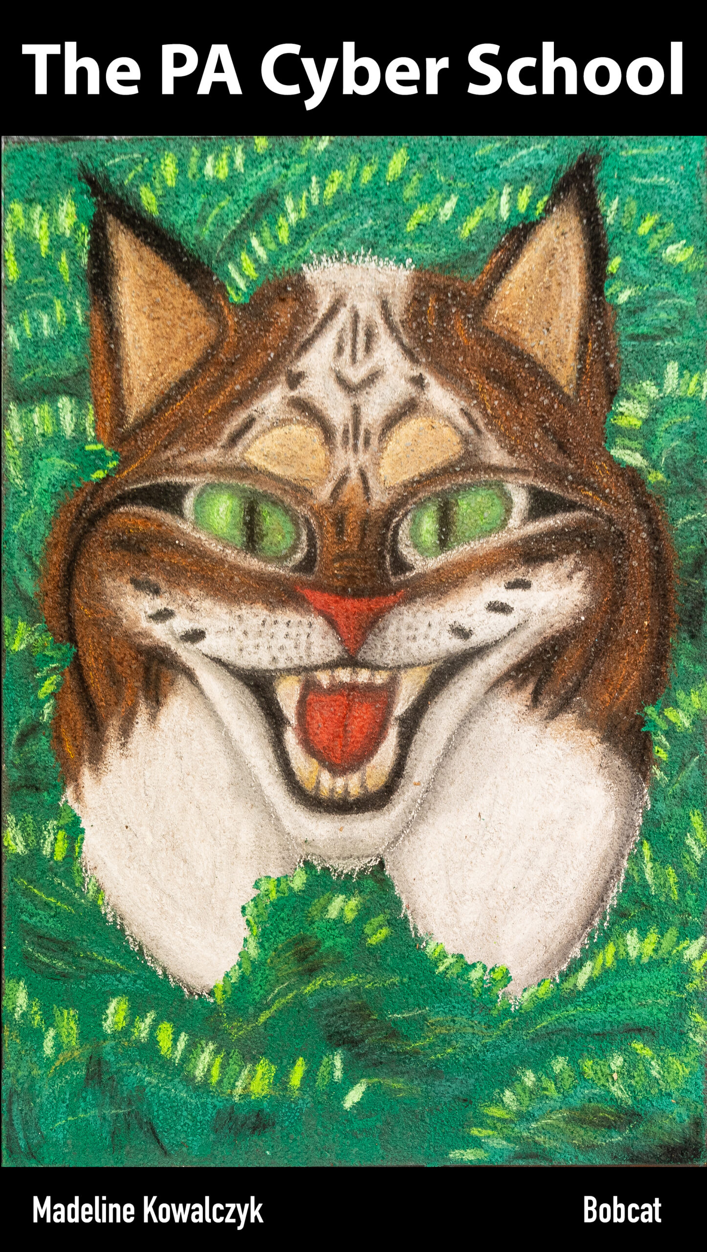 Madeline Kowalczyk 2024 street painting